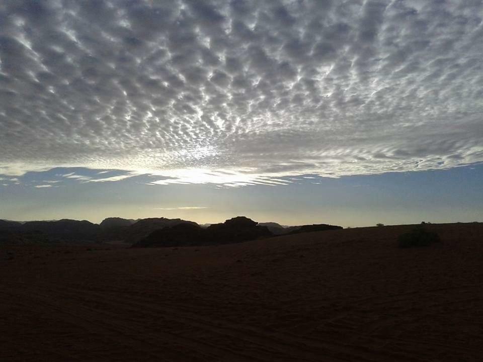 Wadi Rum Local Guide Camp Eksteriør bilde